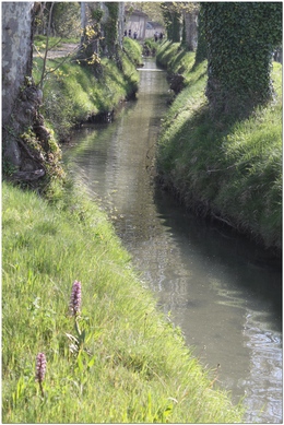 canal des alpines  Eyragues